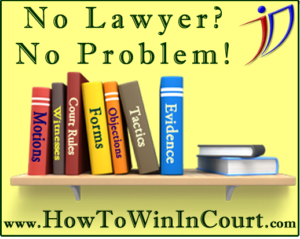 How To Win In Court 